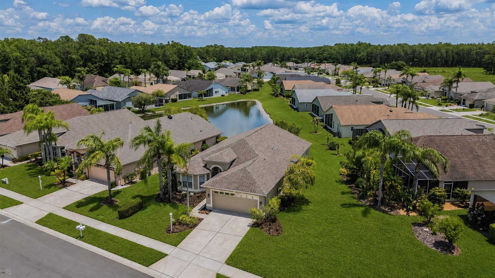 1032 DUSTAN PL, TRINITY, FL, 34655