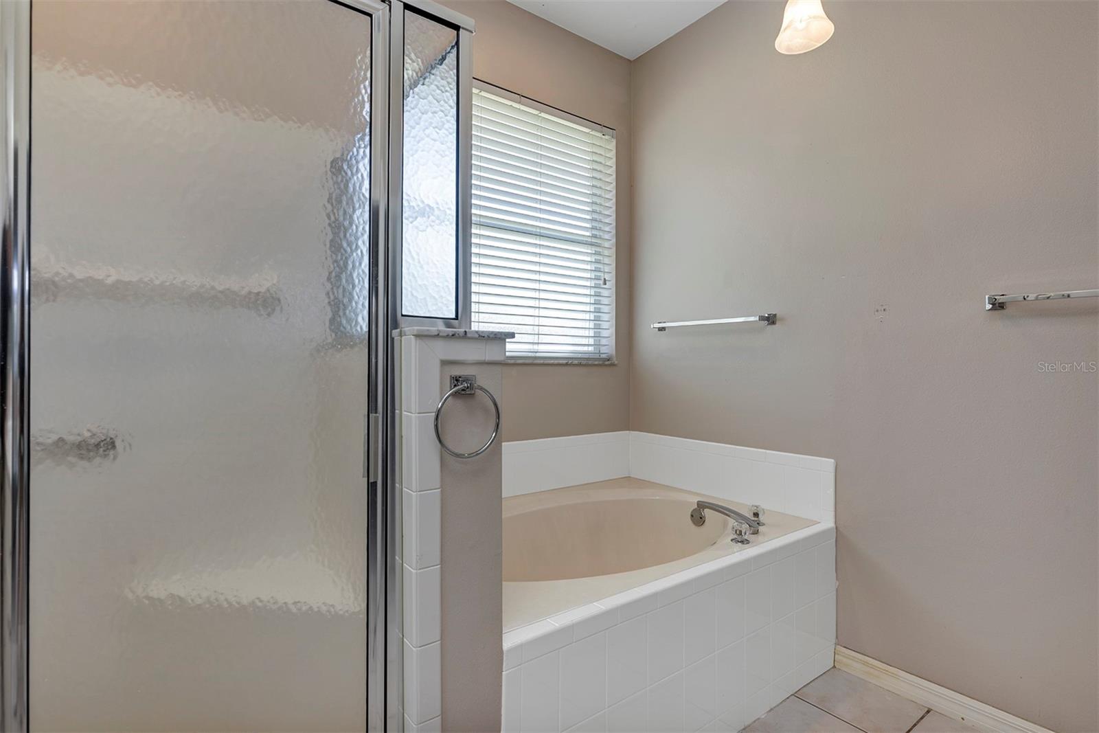 2880 MEDITERRANEAN LOOP, TAVARES, FL, 32778