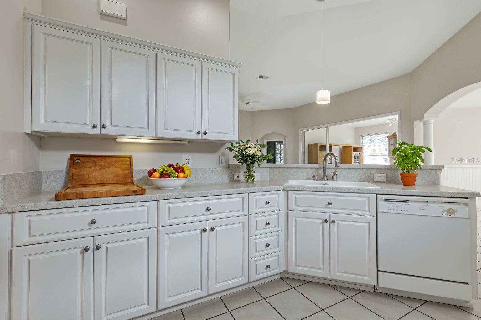 2880 MEDITERRANEAN LOOP, TAVARES, FL, 32778