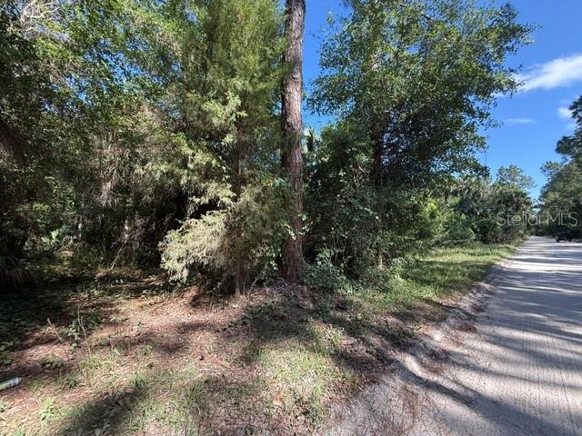 COUNTY ROAD 75, BUNNELL, FL, 32110
