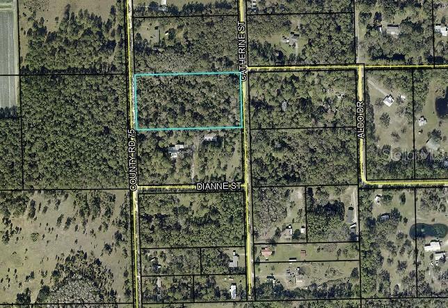 COUNTY ROAD 75, BUNNELL, FL, 32110