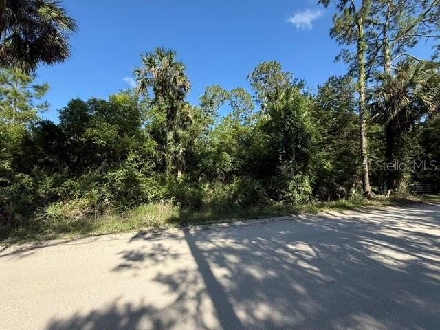 COUNTY ROAD 75, BUNNELL, FL, 32110