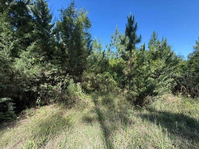 COUNTY ROAD 75, BUNNELL, FL, 32110