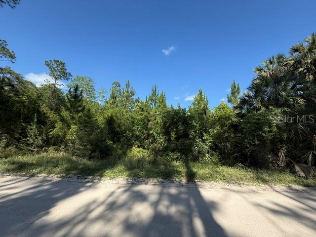 COUNTY ROAD 75, BUNNELL, FL, 32110
