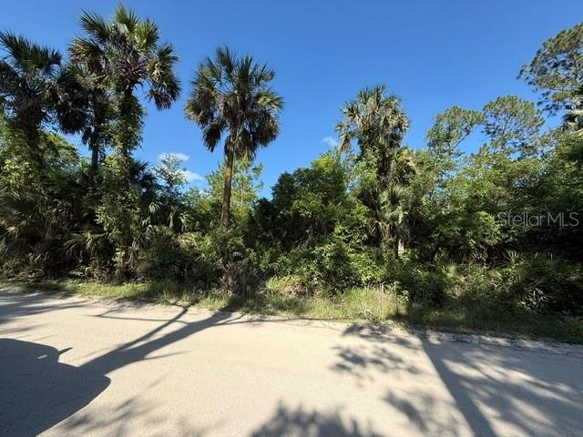 COUNTY ROAD 75, BUNNELL, FL, 32110