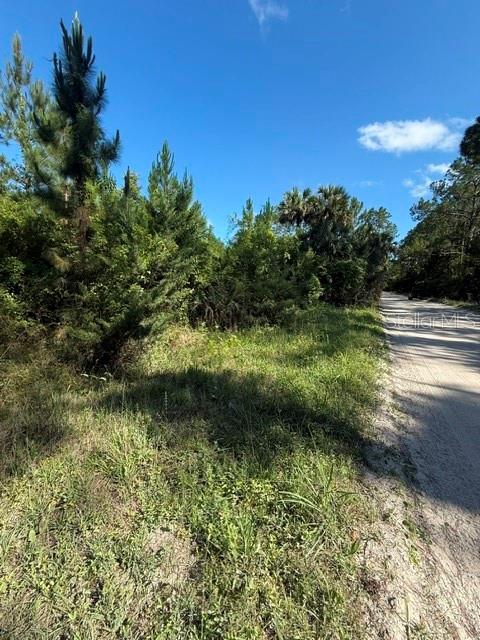 COUNTY ROAD 75, BUNNELL, FL, 32110