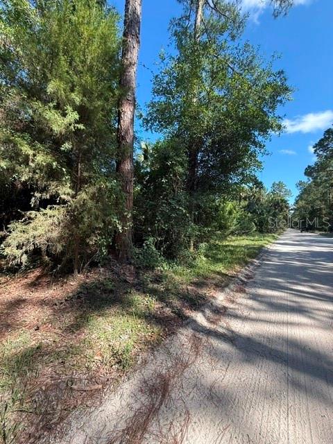 COUNTY ROAD 75, BUNNELL, FL, 32110