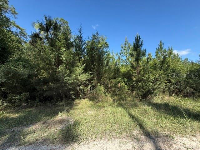 COUNTY ROAD 75, BUNNELL, FL, 32110