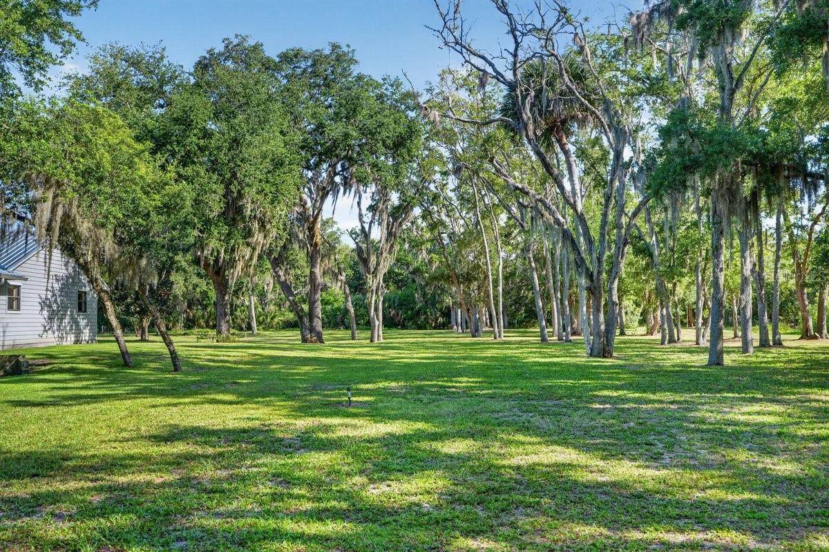 171 WILLIAM ST, EDGEWATER, FL, 32141