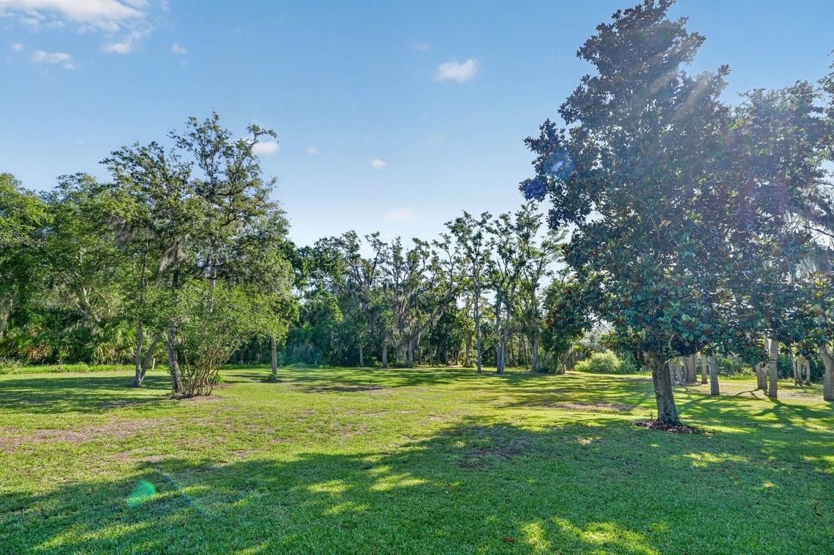 171 WILLIAM ST, EDGEWATER, FL, 32141