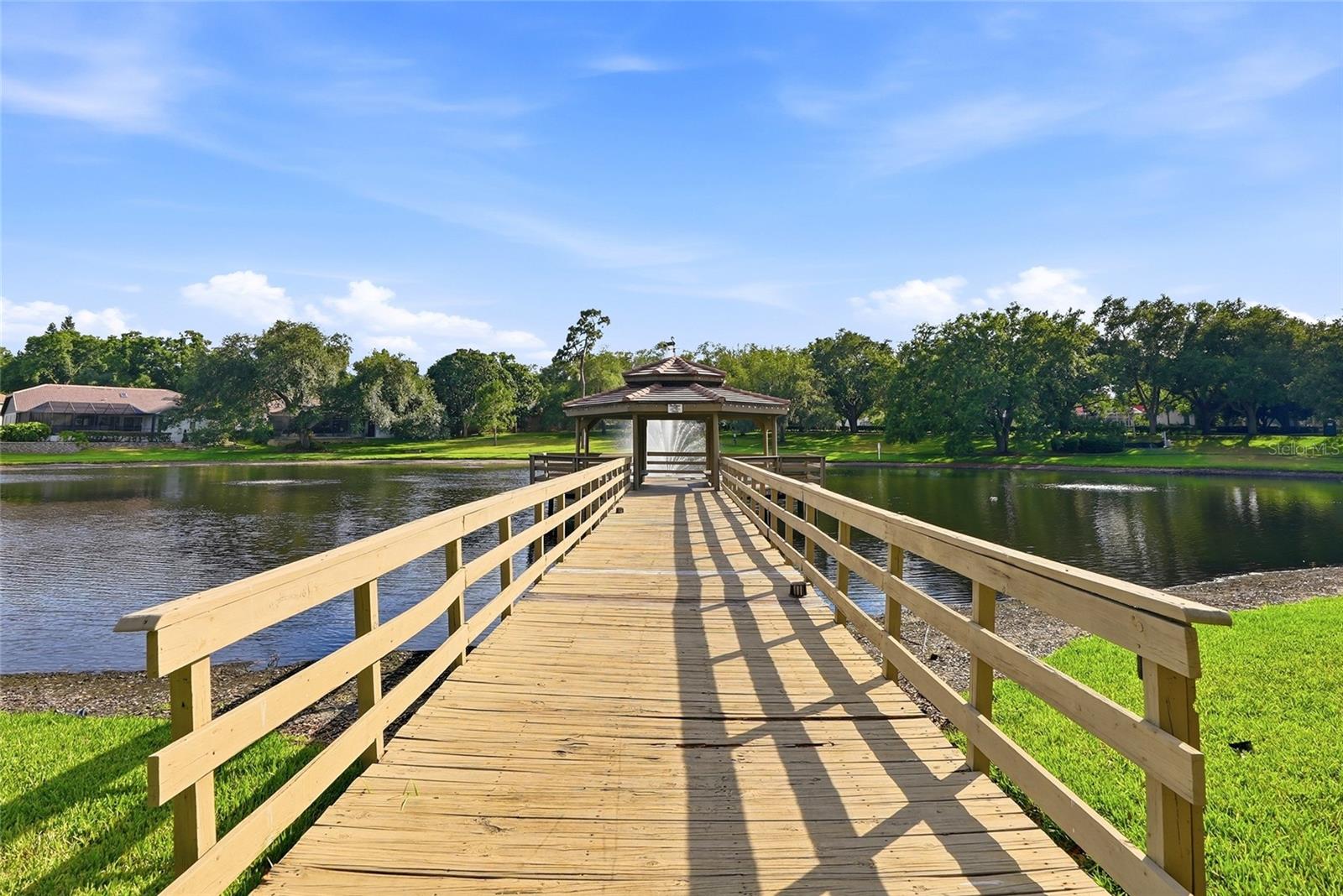 3493 SHORELINE CIR, PALM HARBOR, FL, 34684