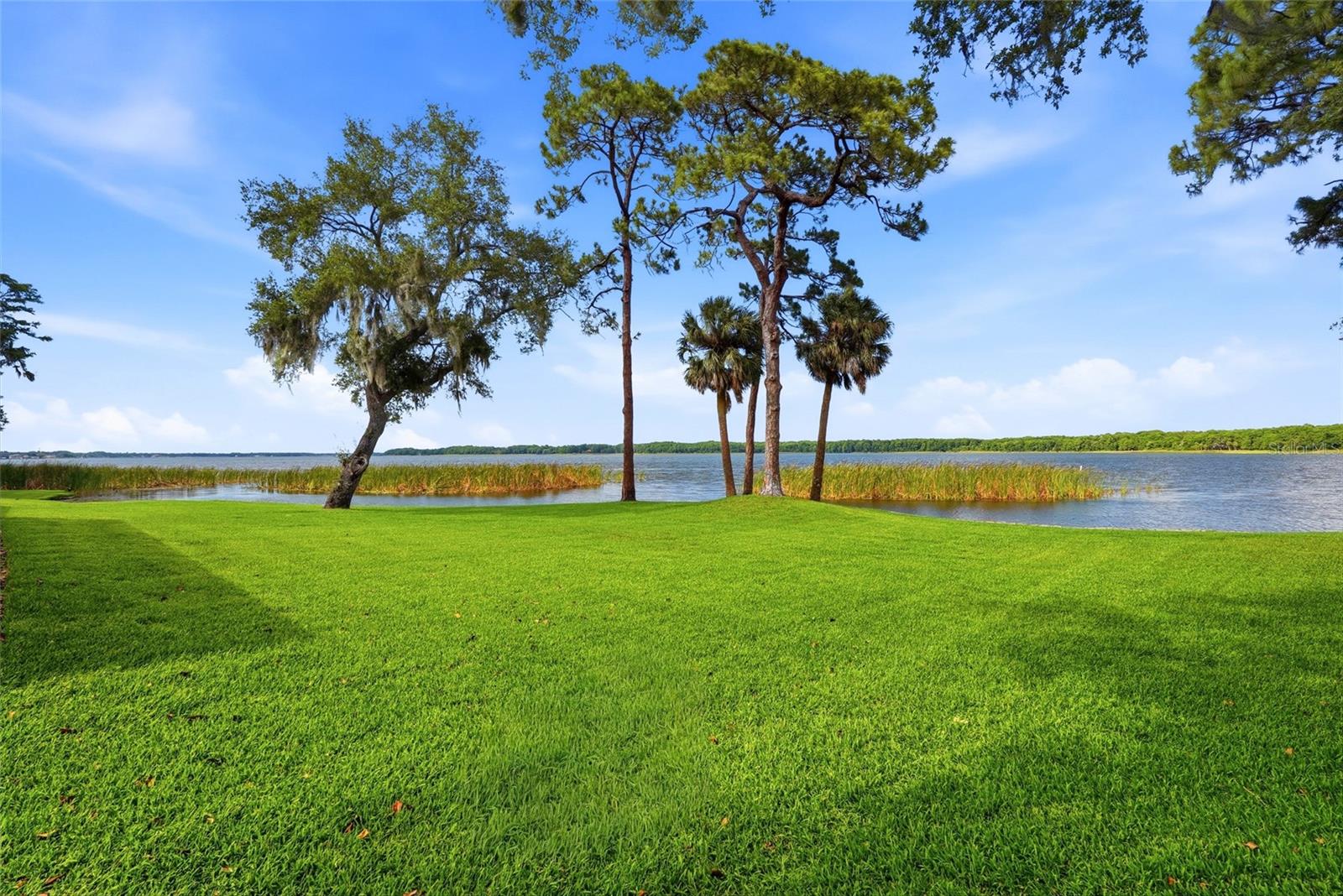 3493 SHORELINE CIR, PALM HARBOR, FL, 34684