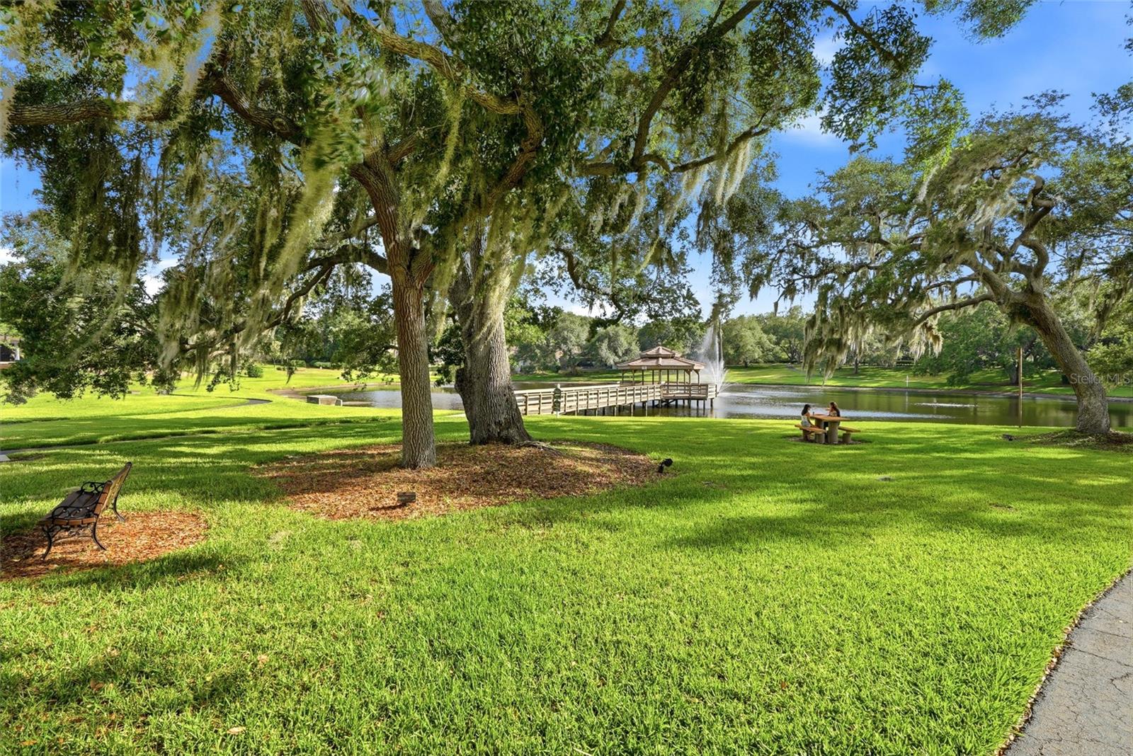 3493 SHORELINE CIR, PALM HARBOR, FL, 34684