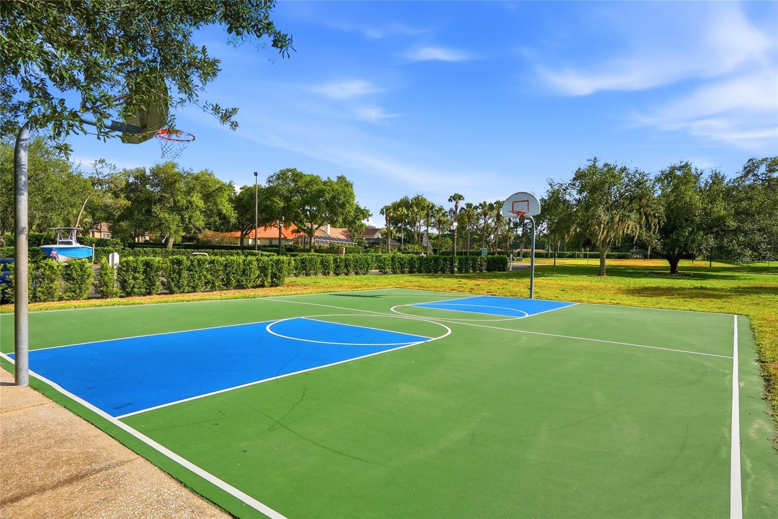 3493 SHORELINE CIR, PALM HARBOR, FL, 34684