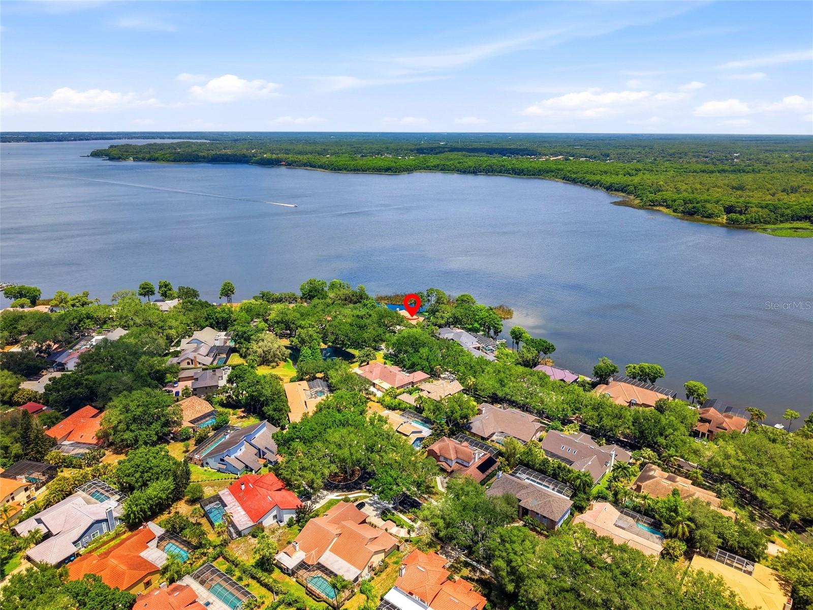 3493 SHORELINE CIR, PALM HARBOR, FL, 34684