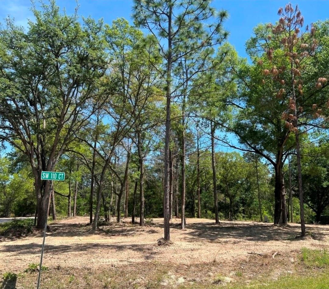 SW 110TH CT, DUNNELLON, FL, 34432