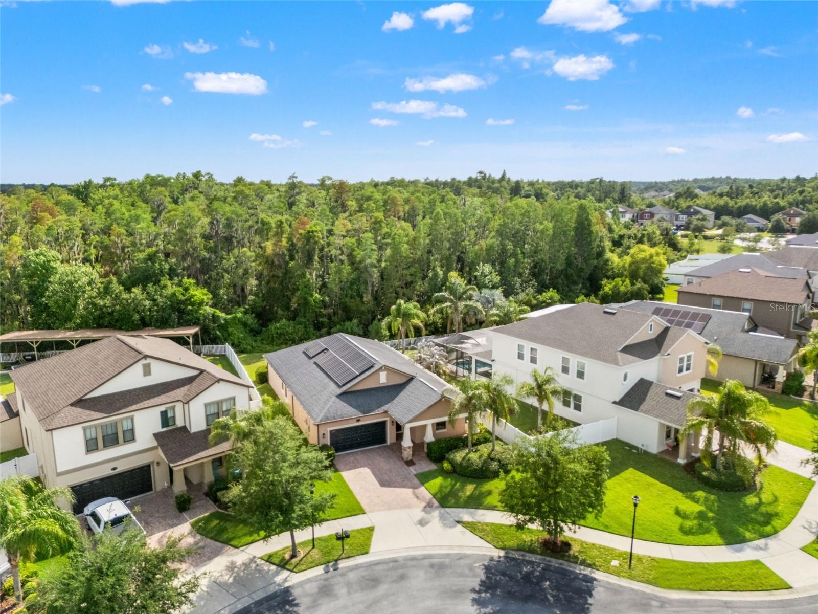19476 PADDOCK VIEW DR, TAMPA, FL, 33647