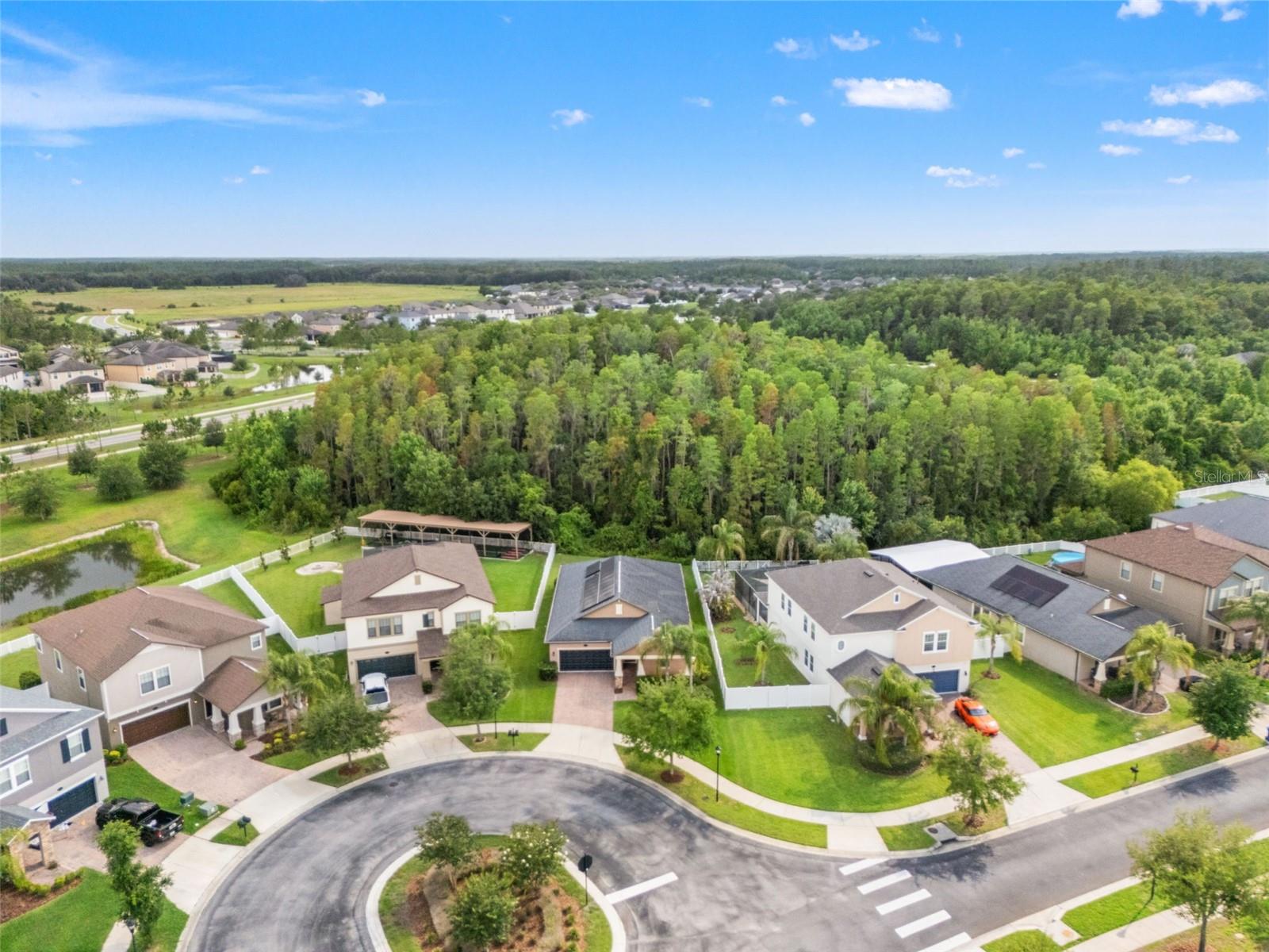19476 PADDOCK VIEW DR, TAMPA, FL, 33647