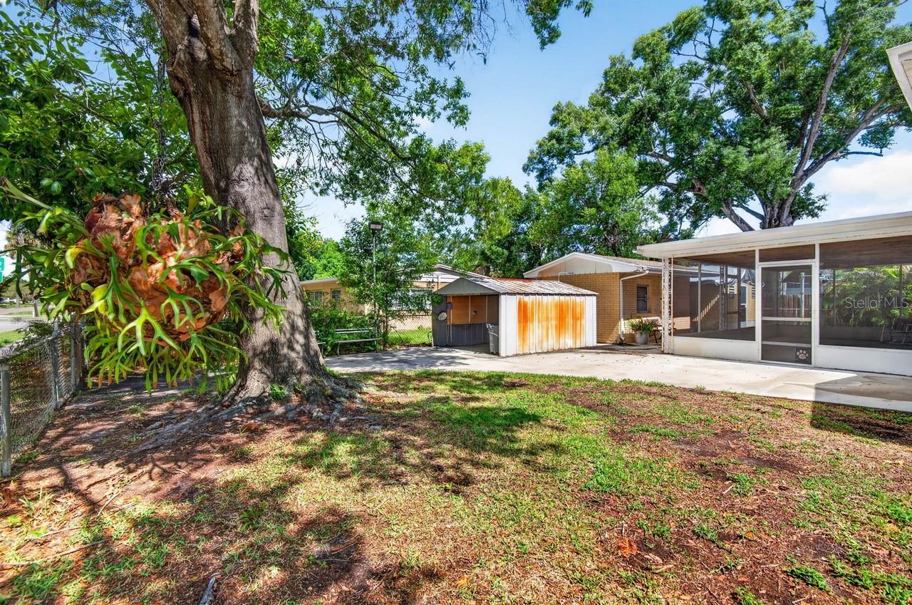 825 W WHATLEY PL, TAMPA, FL, 33604