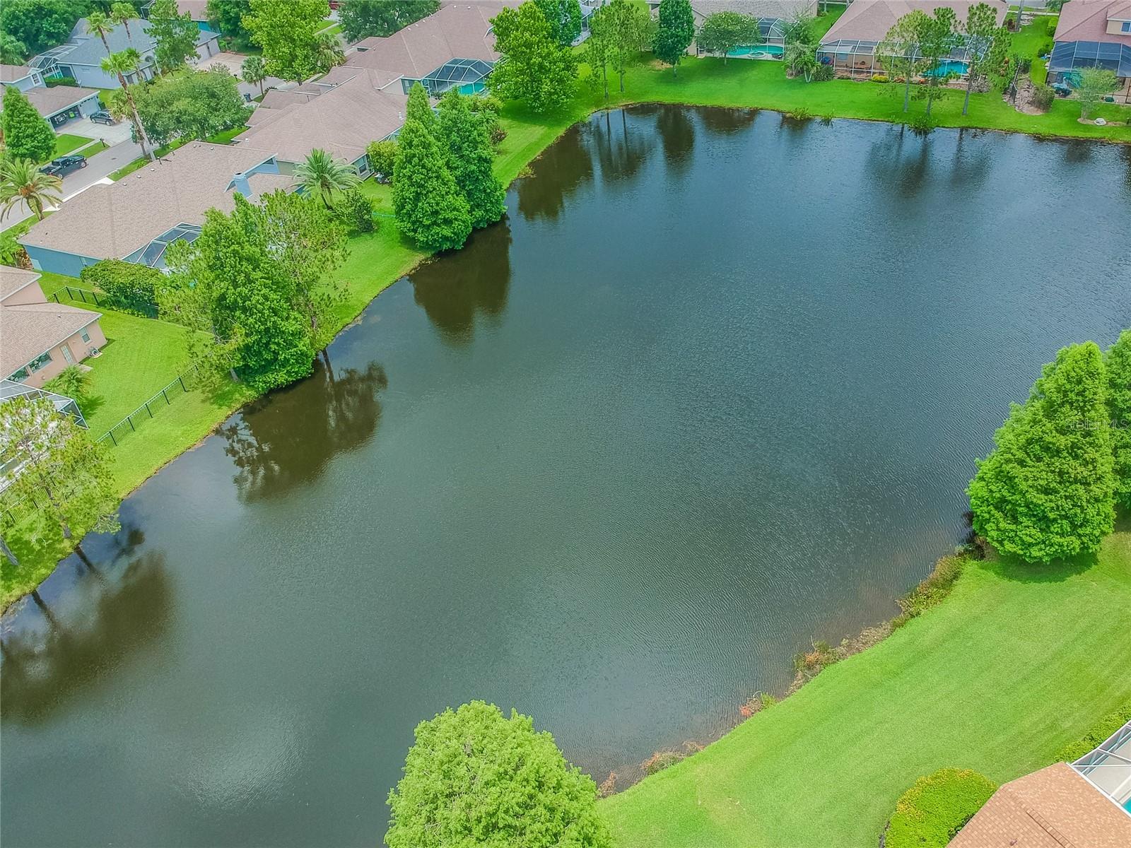 10559 GREENCREST DR, TAMPA, FL, 33626