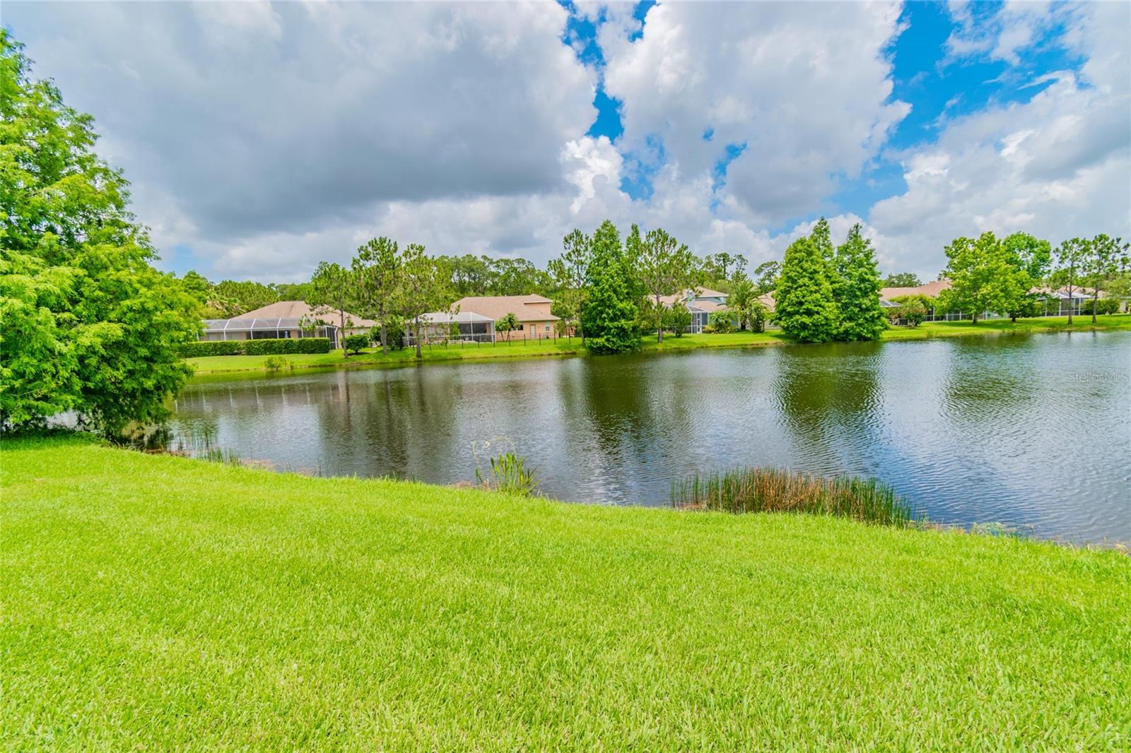 10559 GREENCREST DR, TAMPA, FL, 33626