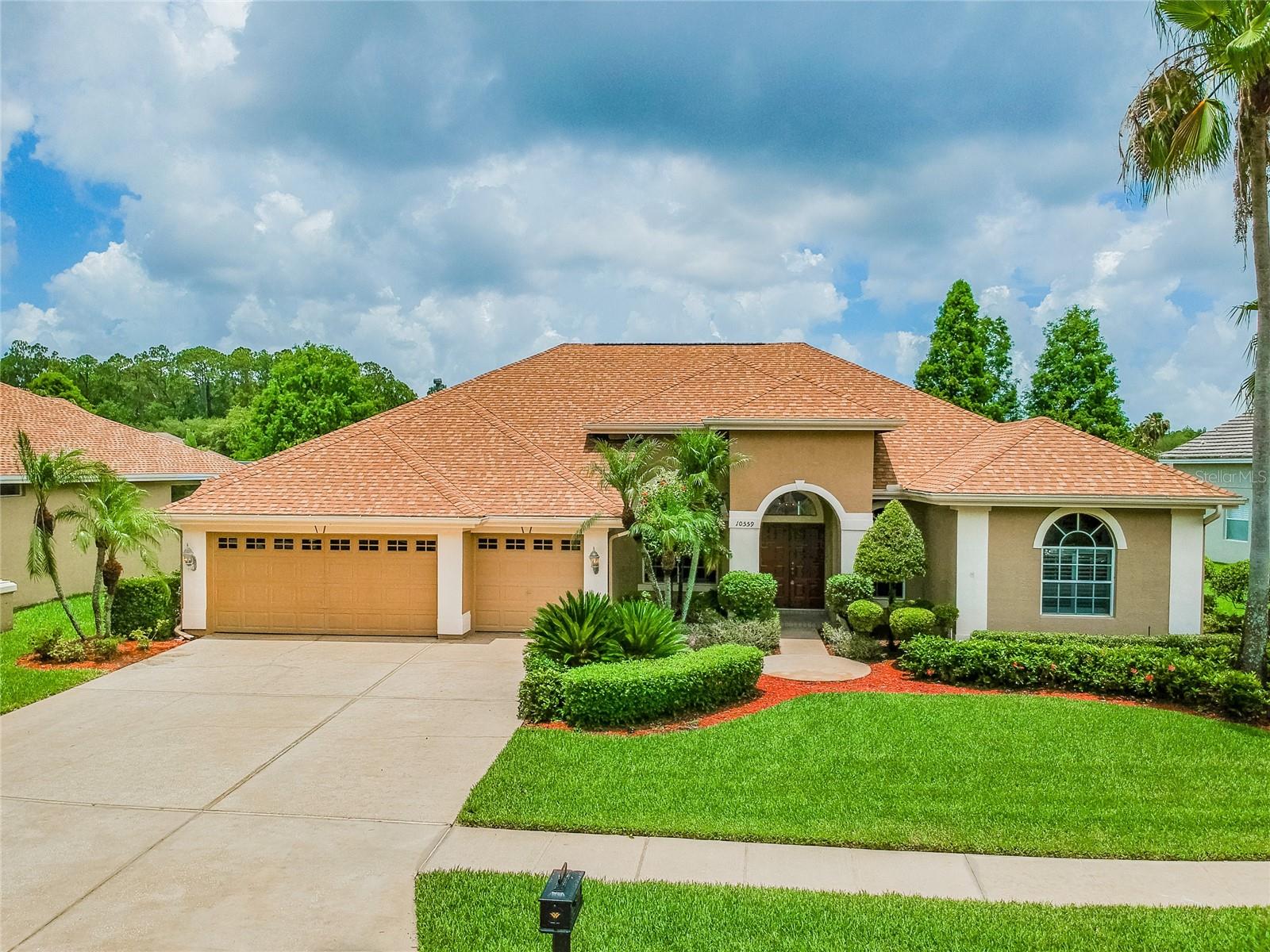 10559 GREENCREST DR, TAMPA, FL, 33626