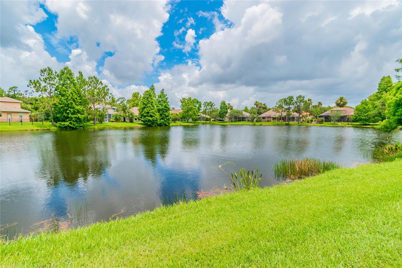 10559 GREENCREST DR, TAMPA, FL, 33626