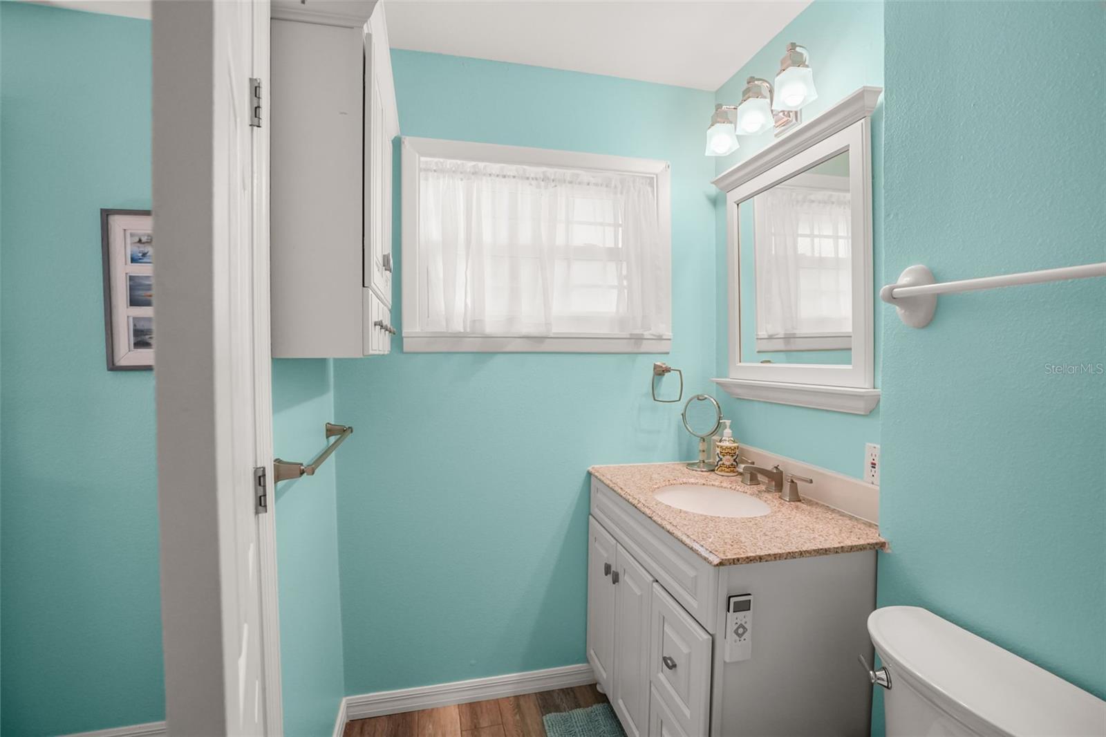 1338 HEIM RD, MOUNT DORA, FL, 32757