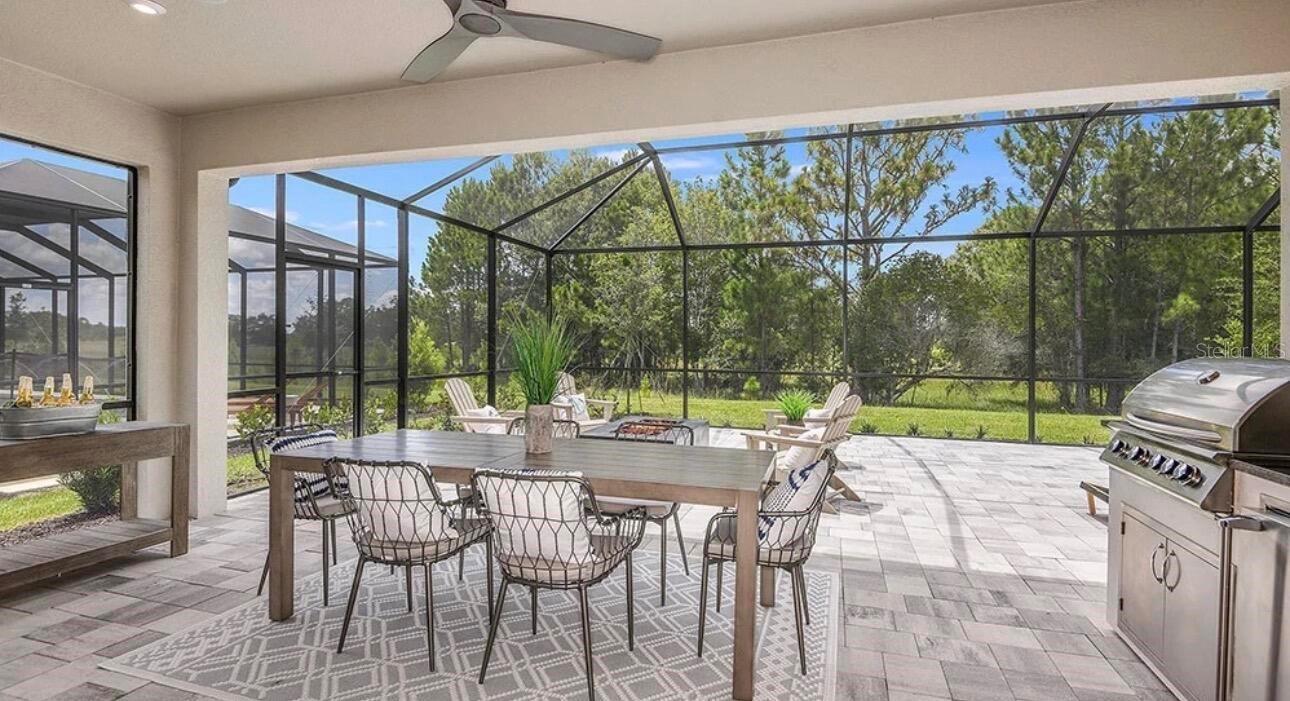 33320 CASTAWAY LOOP, WESLEY CHAPEL, FL, 33543