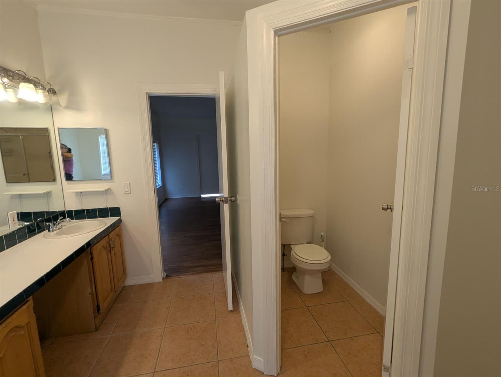 4947 MITCHELL RD, LAND O LAKES, FL, 34638