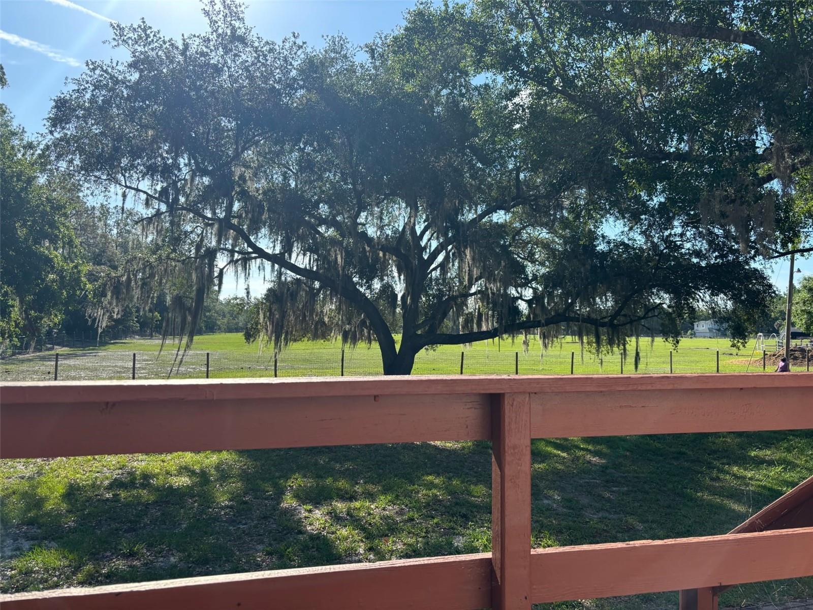 4947 MITCHELL RD, LAND O LAKES, FL, 34638