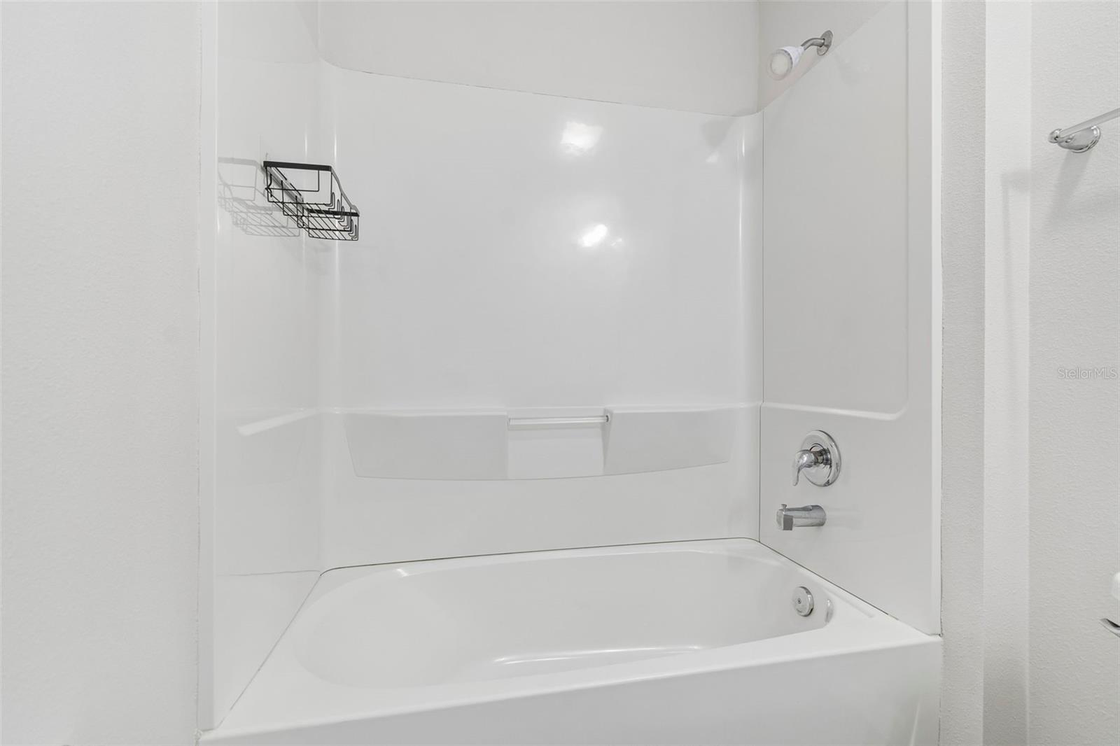 12621 HAMMOCK PARK DR, RIVERVIEW, FL, 33579