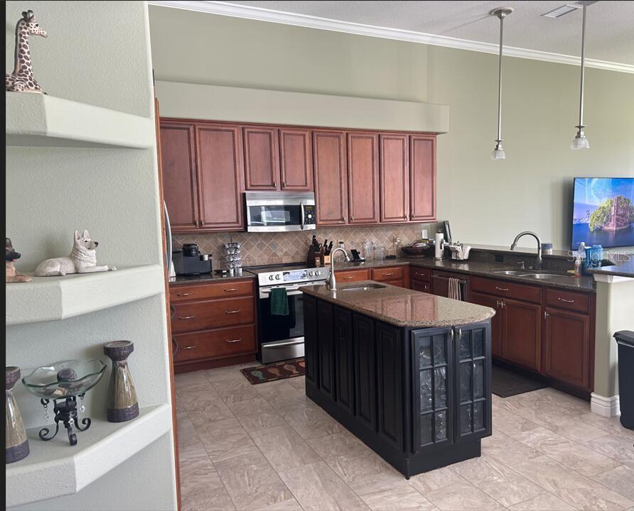 5429 BURNT HICKORY DR, VALRICO, FL, 33596