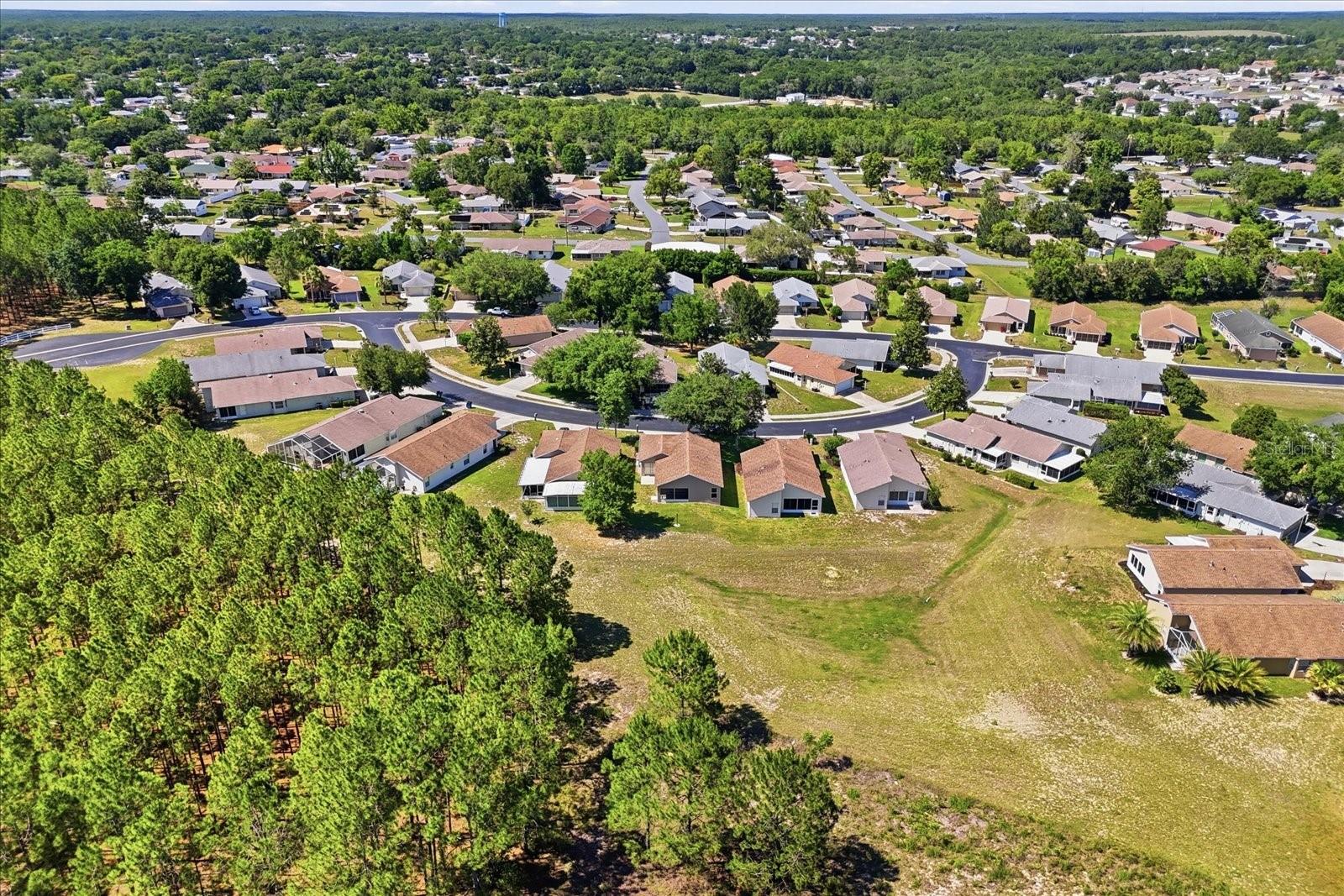 826 W COCKATIEL LOOP, HERNANDO, FL, 34442