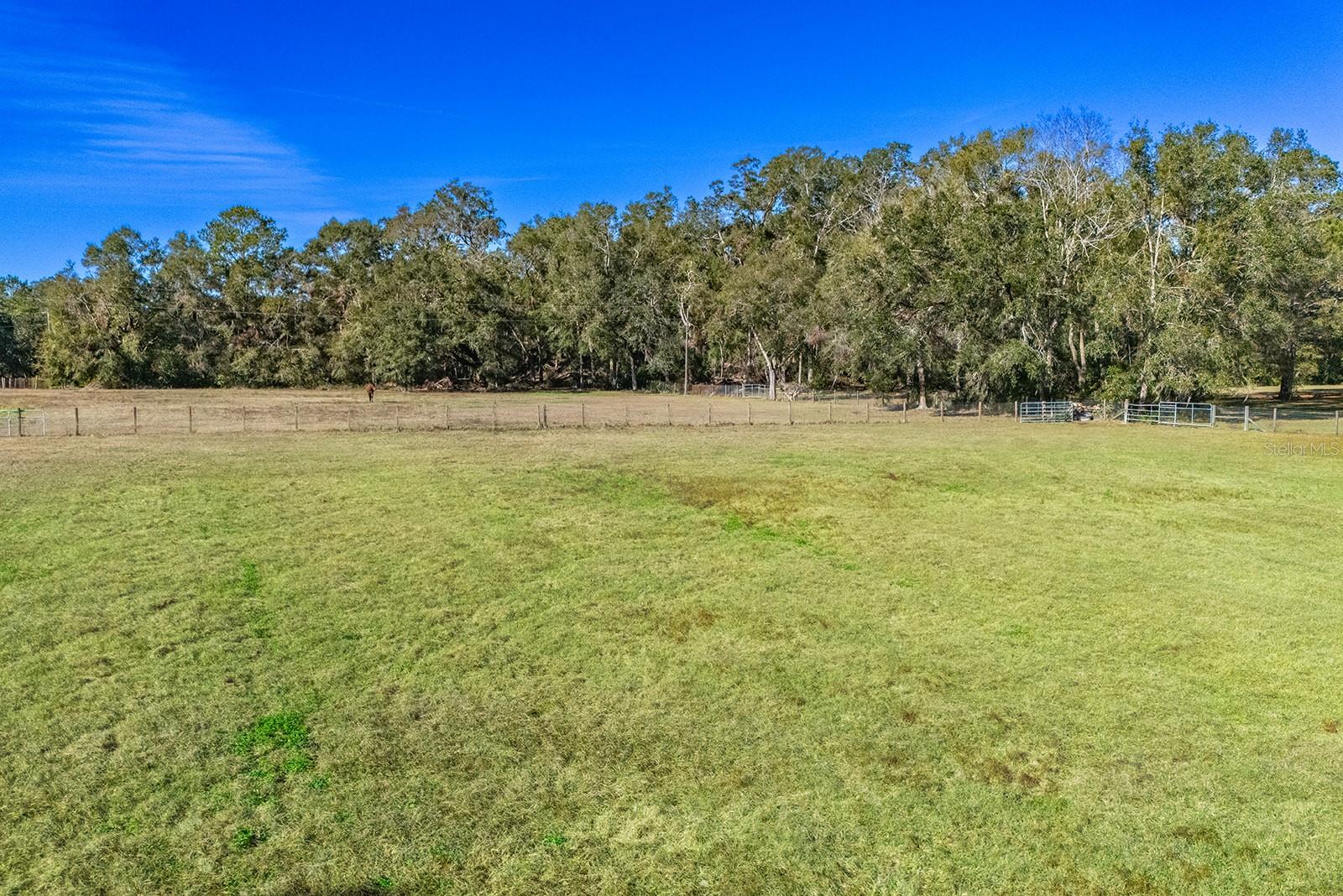 21800 SW 15TH AVE, NEWBERRY, FL, 32669