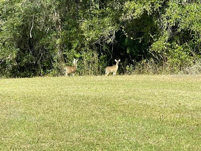21800 SW 15TH AVE, NEWBERRY, FL, 32669