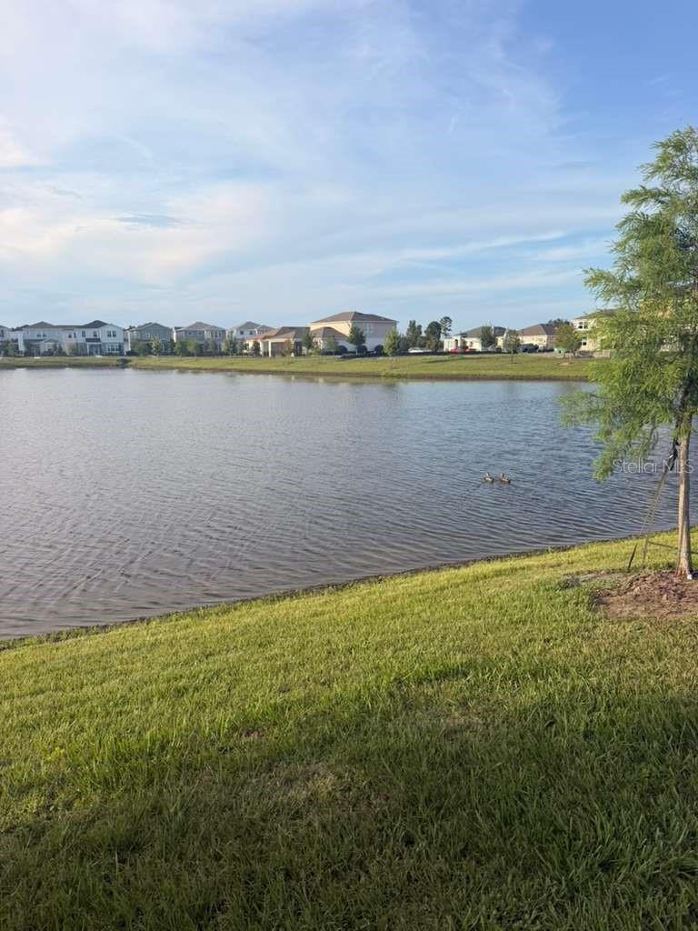 5051 STARLING BIRD LN, ST CLOUD, FL, 34771