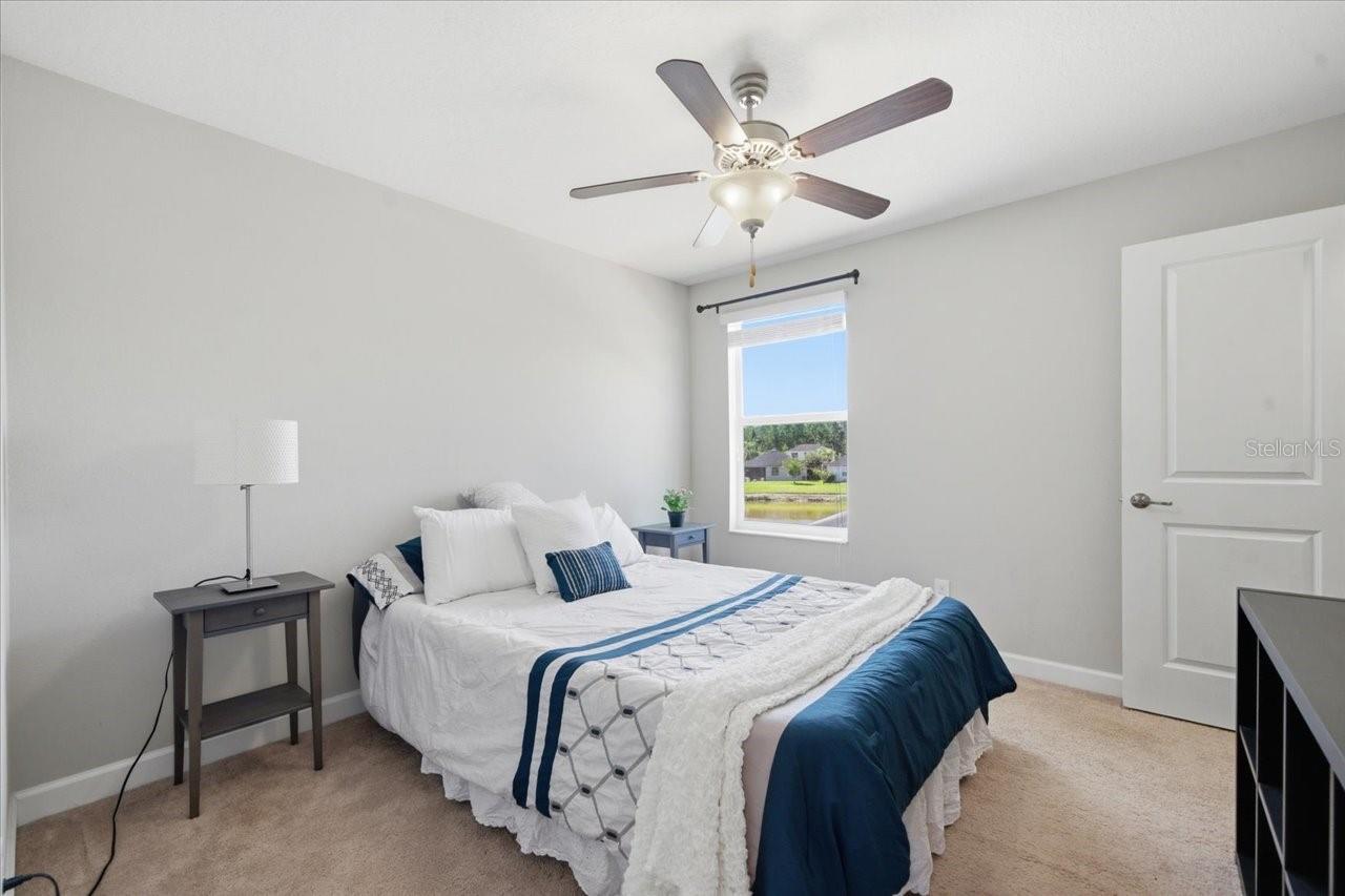 19132 ANDREA LYNN LN, LAND O LAKES, FL, 34638