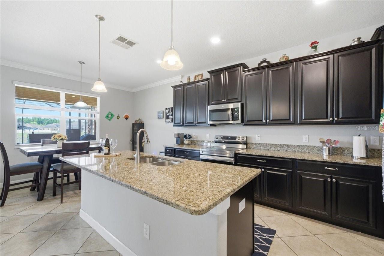 19132 ANDREA LYNN LN, LAND O LAKES, FL, 34638