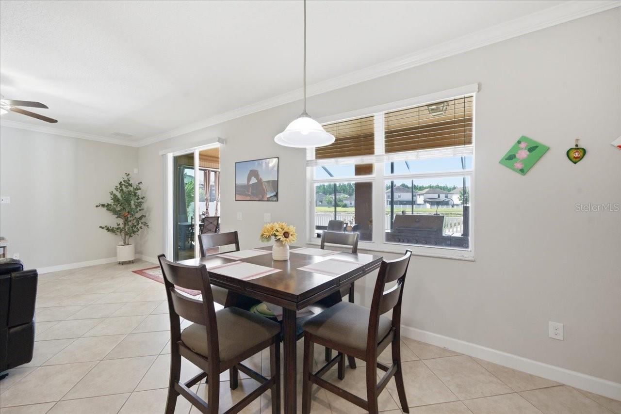 19132 ANDREA LYNN LN, LAND O LAKES, FL, 34638