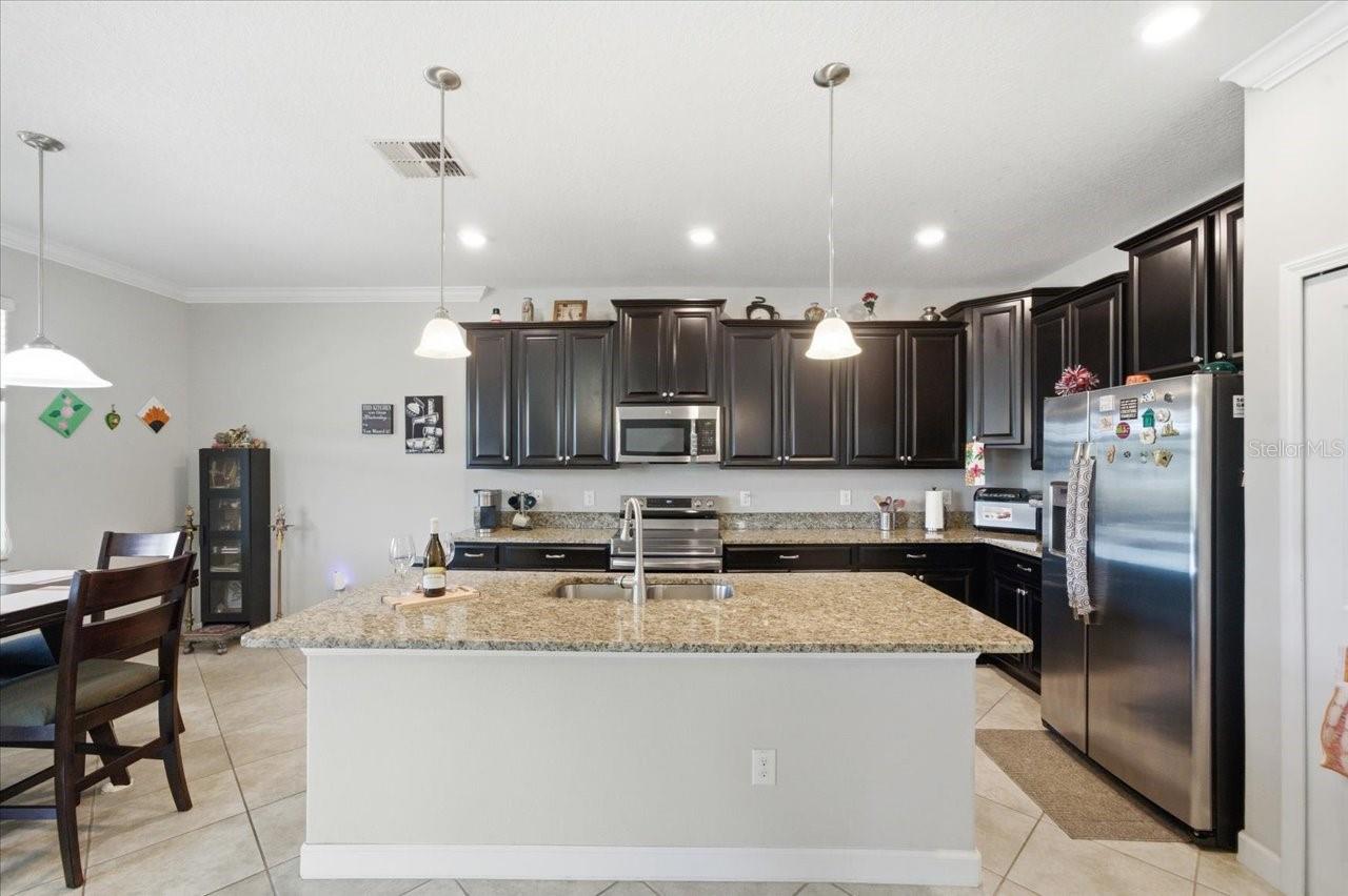 19132 ANDREA LYNN LN, LAND O LAKES, FL, 34638