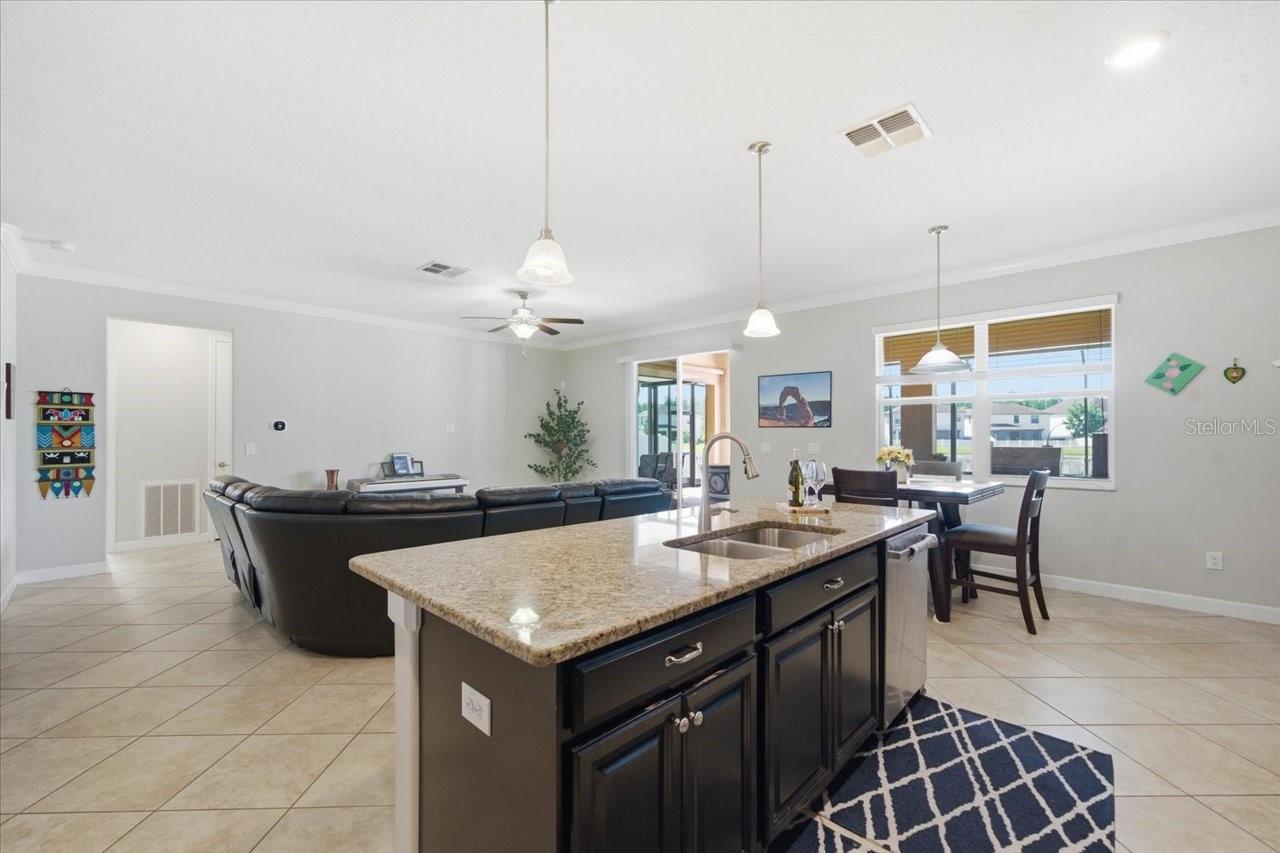 19132 ANDREA LYNN LN, LAND O LAKES, FL, 34638