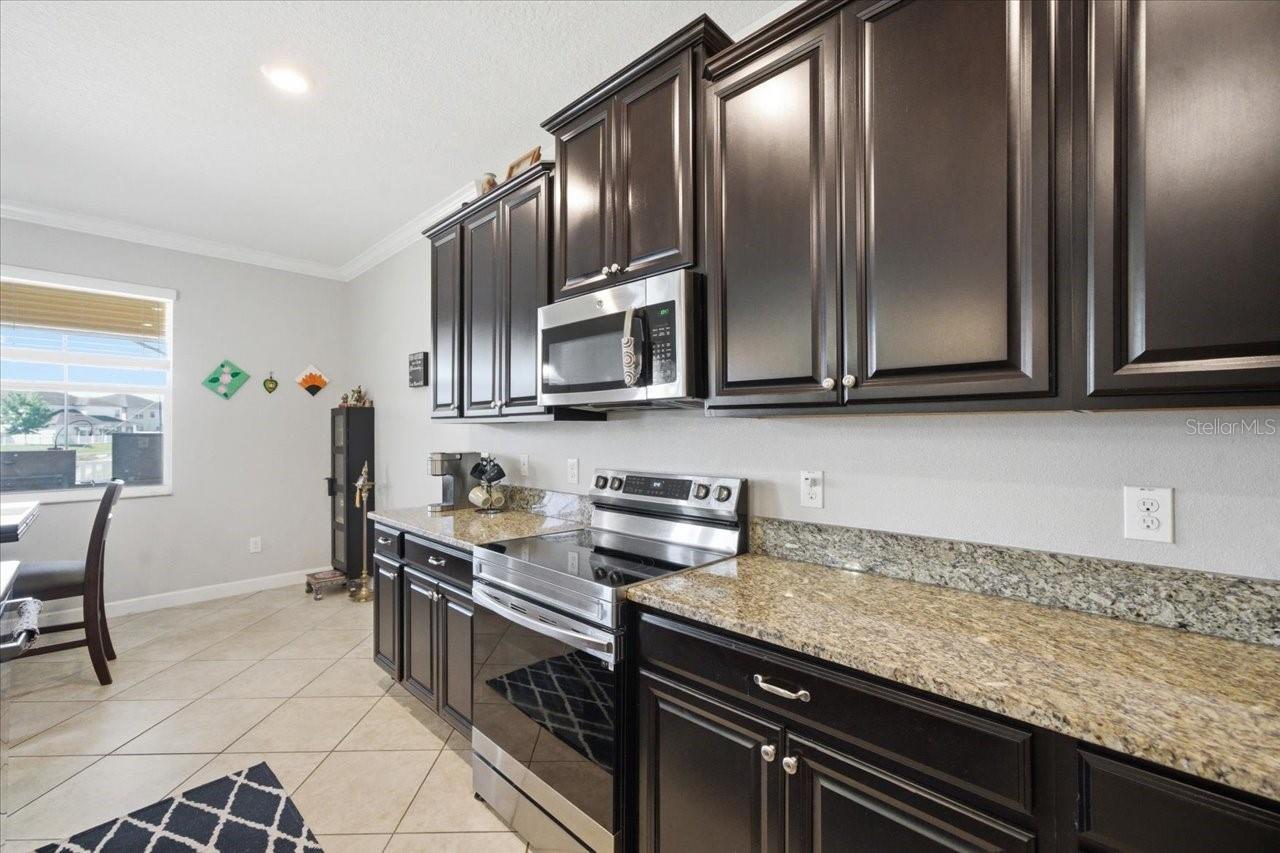 19132 ANDREA LYNN LN, LAND O LAKES, FL, 34638