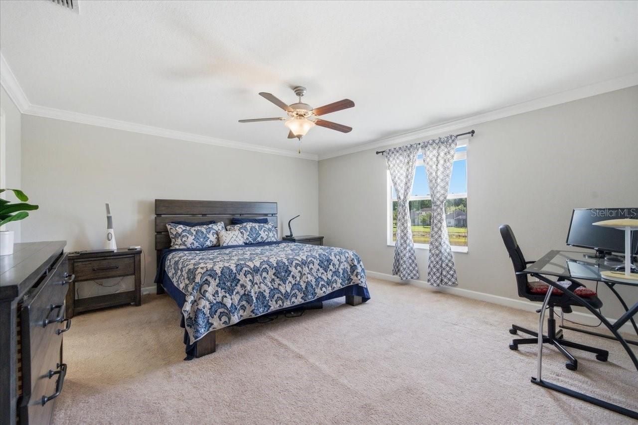 19132 ANDREA LYNN LN, LAND O LAKES, FL, 34638