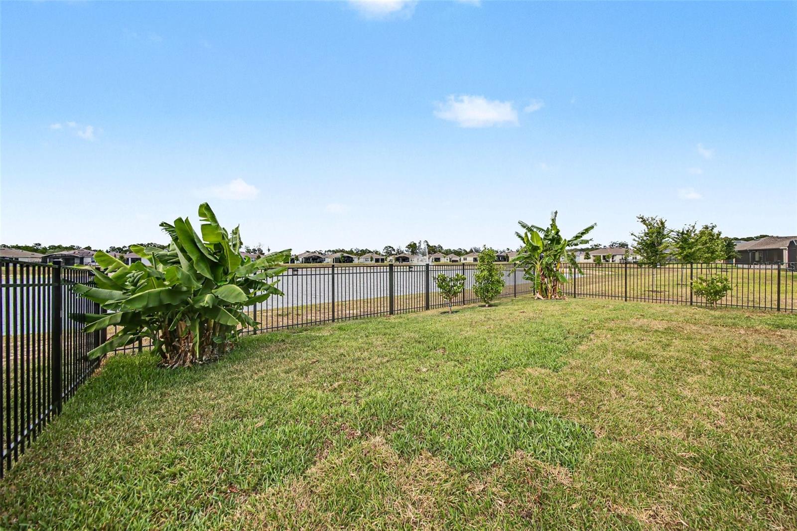 17651 BLAZING STAR CIR, CLERMONT, FL, 34714