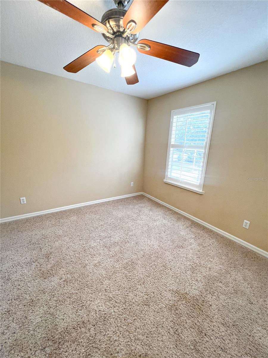 14252 CONFETTI DR, WINDERMERE, FL, 34786