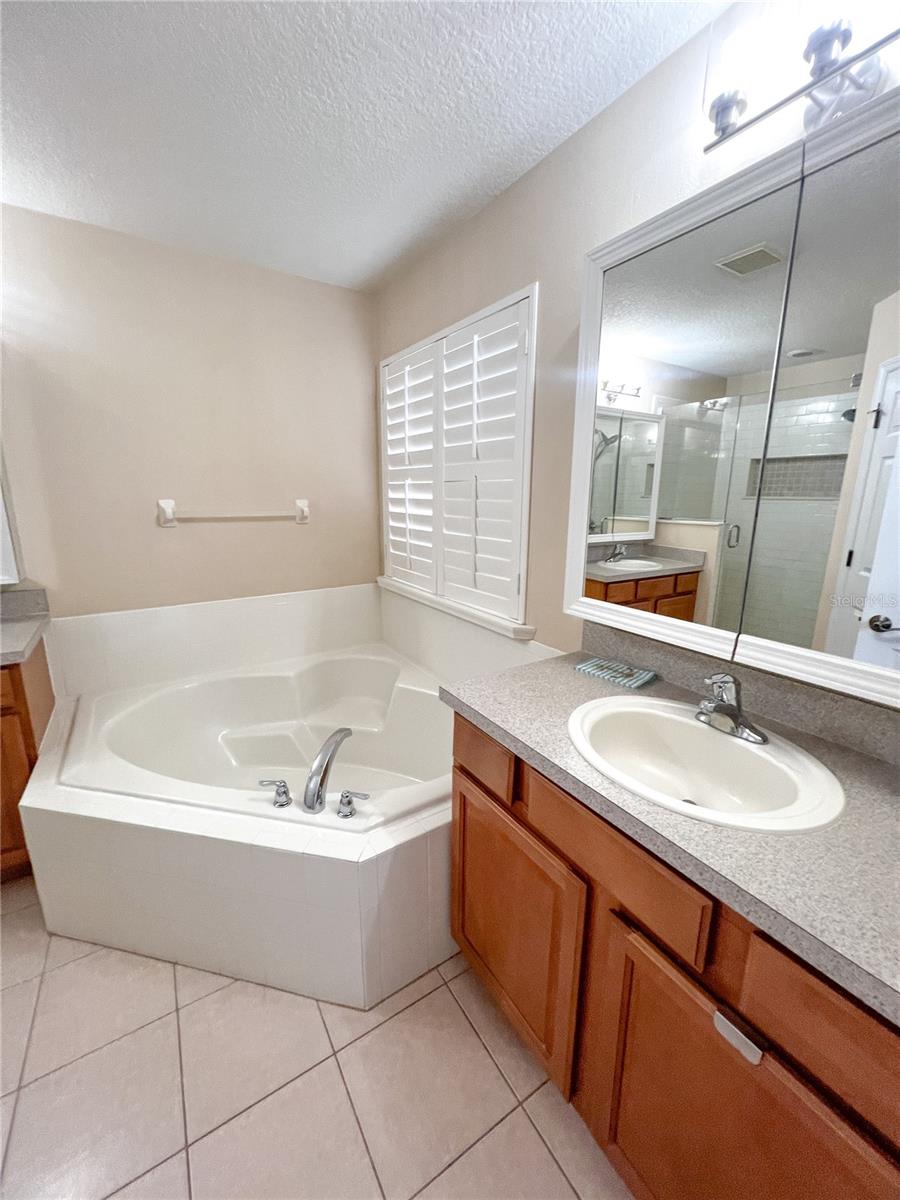 14252 CONFETTI DR, WINDERMERE, FL, 34786