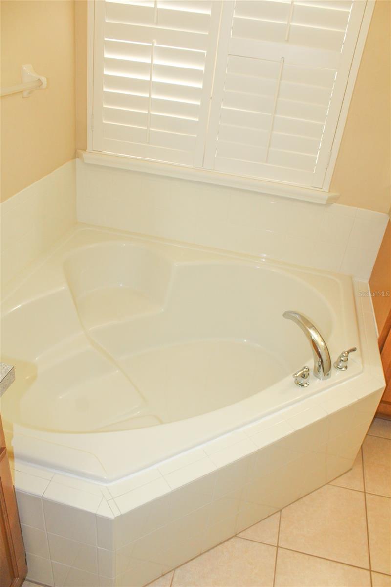 14252 CONFETTI DR, WINDERMERE, FL, 34786