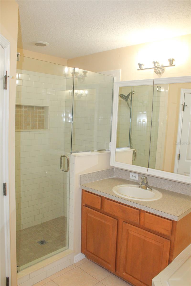 14252 CONFETTI DR, WINDERMERE, FL, 34786