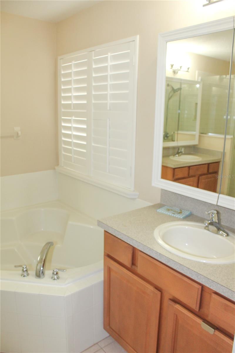 14252 CONFETTI DR, WINDERMERE, FL, 34786